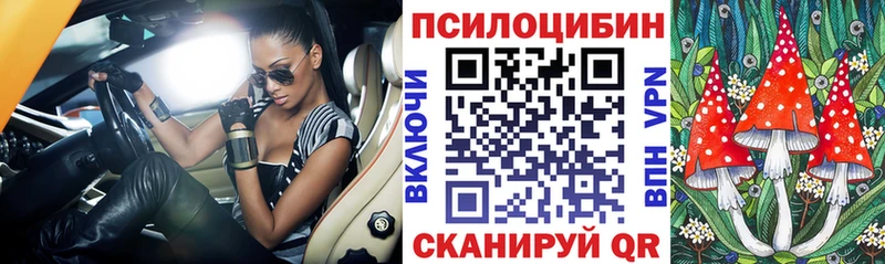 OMG маркетплейс Петухово Галлюциногенные грибы Cubensis